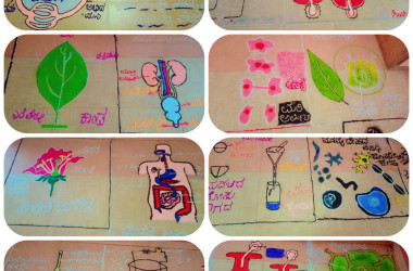 Rangoli Science Diagram Exhibition 2025