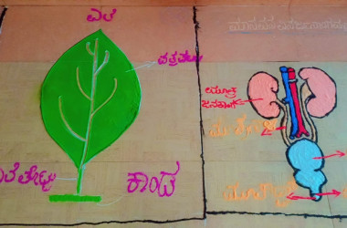 Rangoli Science Diagram Exhibition 2025