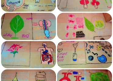 Rangoli Science Diagram Exhibition 2025